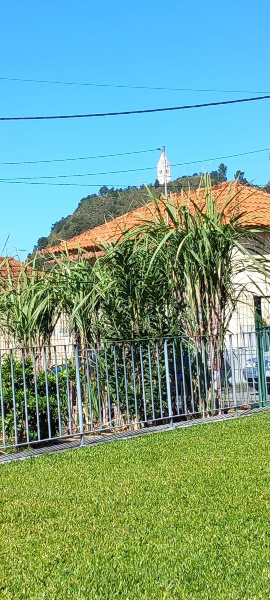 Villa Refugio Do Limoeiro São Vicente Exterior foto